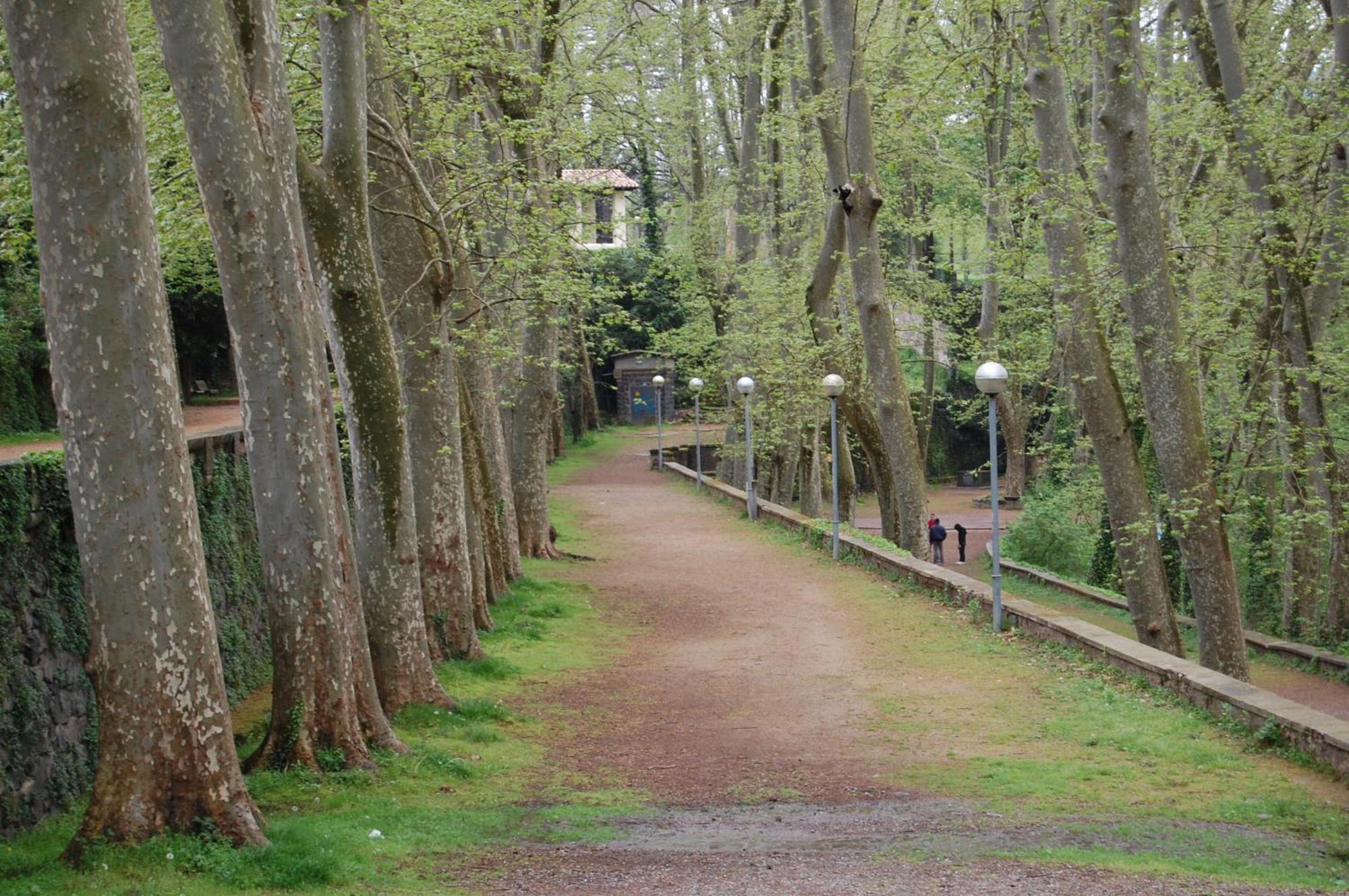 El Solell De L'avia Dom wakacyjny Olot